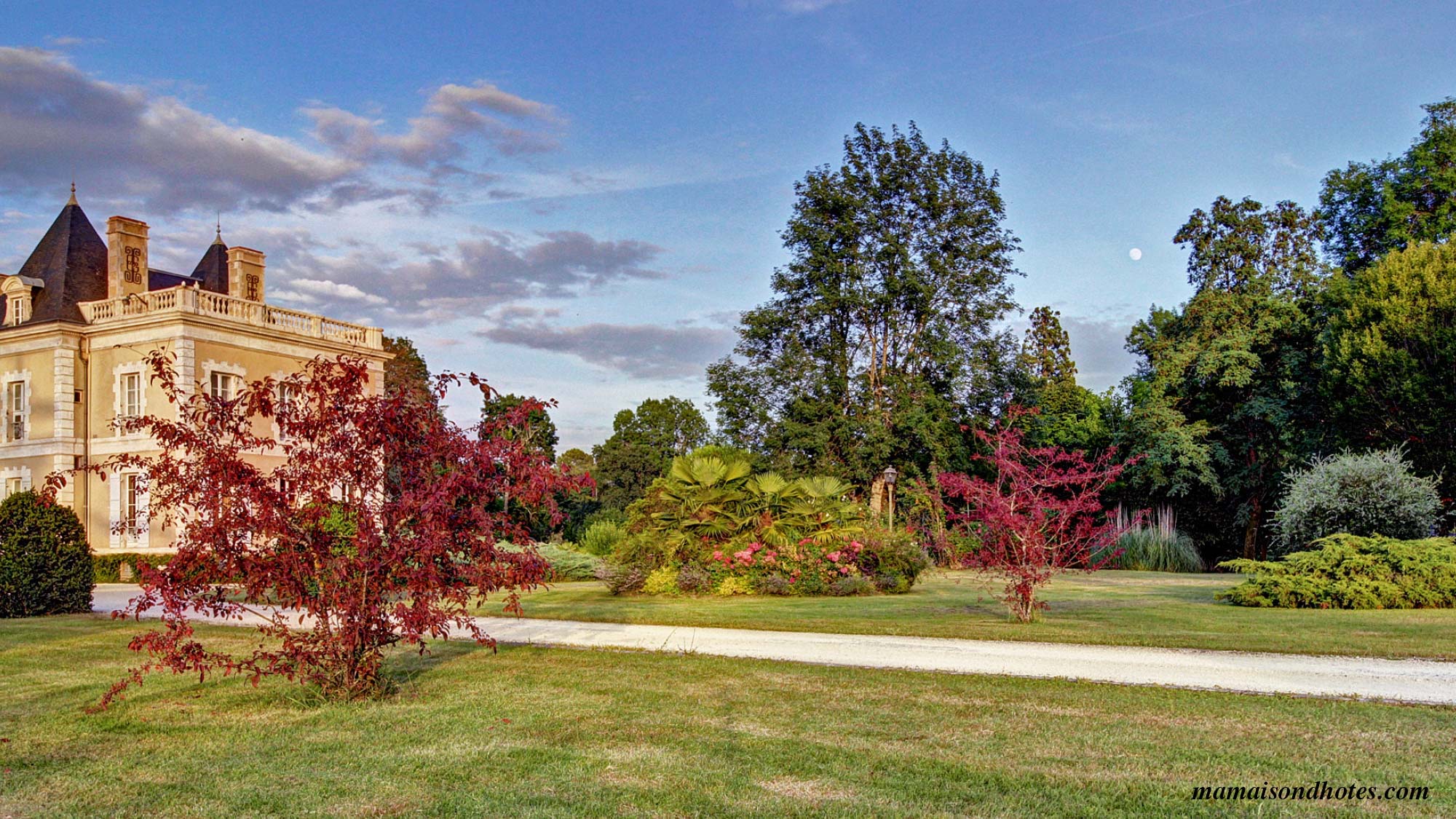 Le parc arboré