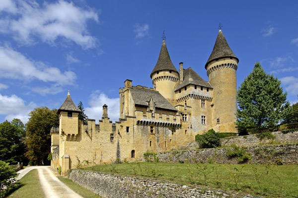 Le Château de Puymartin