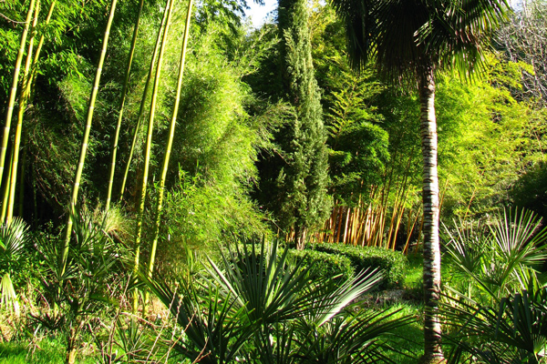 Jardin de Planbuisson